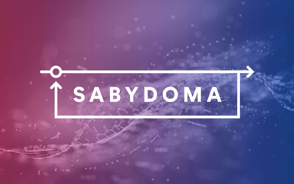 SABYDOMA: interactive workshop to present different visions and definitions of SSbD from the point of view of different stakeholders